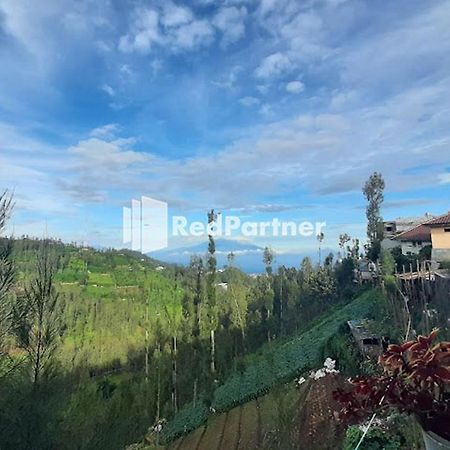 Bromo Indah Lestari Homestay Mitra Reddoorz باسوروان المظهر الخارجي الصورة